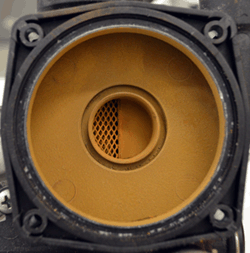 sm friendly format fil primary in situ (b).gif